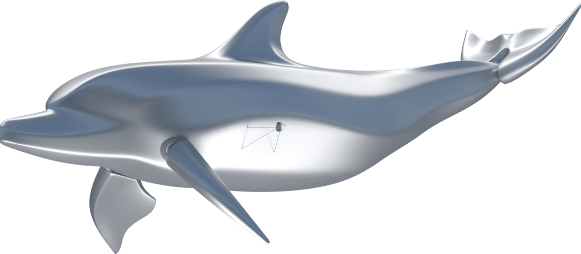 dolphin_big