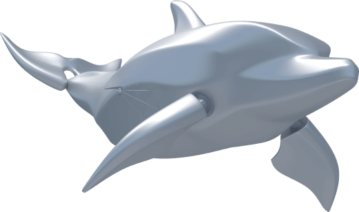 dolphin_medium