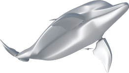 dolphin_small